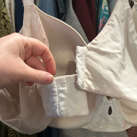 Torrid Wired 360 Bra - Picture 6 of 6